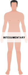 Integumentary_250x96.png