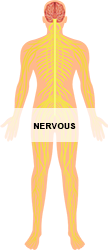 Nervous_250.png